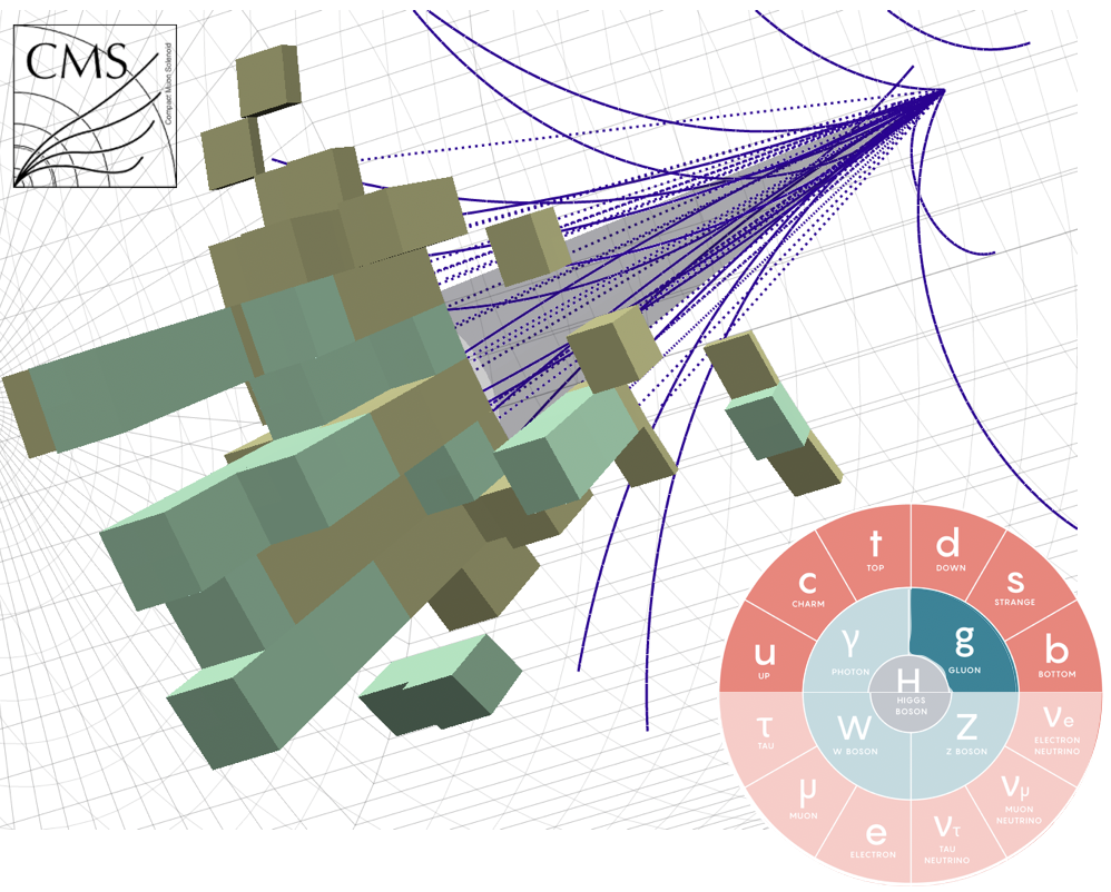 CMS detector jet visualization
