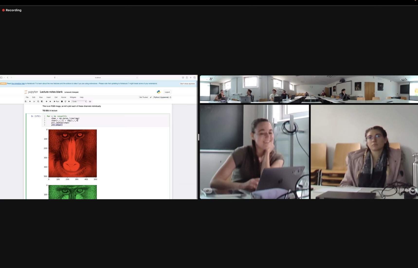 Virtual mentorship session